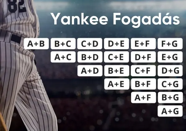 yankee