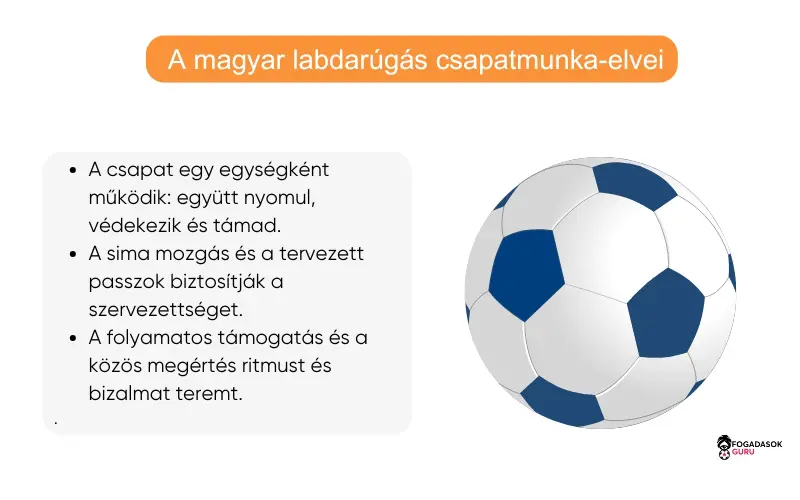 csapatmunka-alapelvei-magyar-labdarúgásban csapatmunka-alapelvei-magyar-labdarúgásban