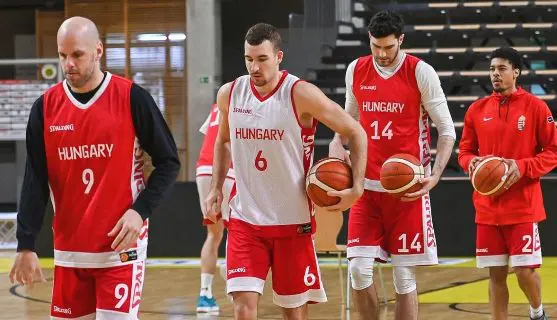 featured-image Magyarország – Finnország